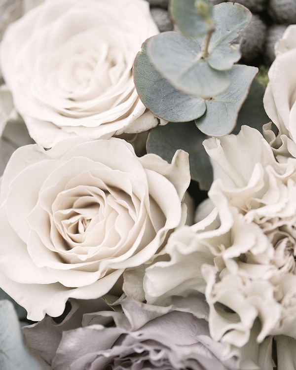 white roses